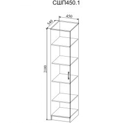 303484