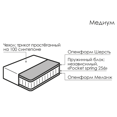 569054